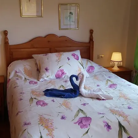 Las Palmeras Apartman Icod de los Vinos